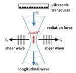 Elastodynamic guided waves in structures and tissues